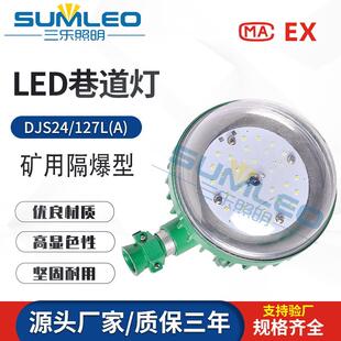 DJS24 矿用隔爆型兼本安型LED巷道灯 矿用LED照明灯投光灯 127L
