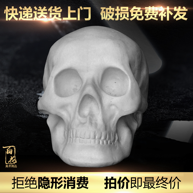 人物石膏头骨骷髅模型石膏像石膏教具几何体石膏像人像石膏静物