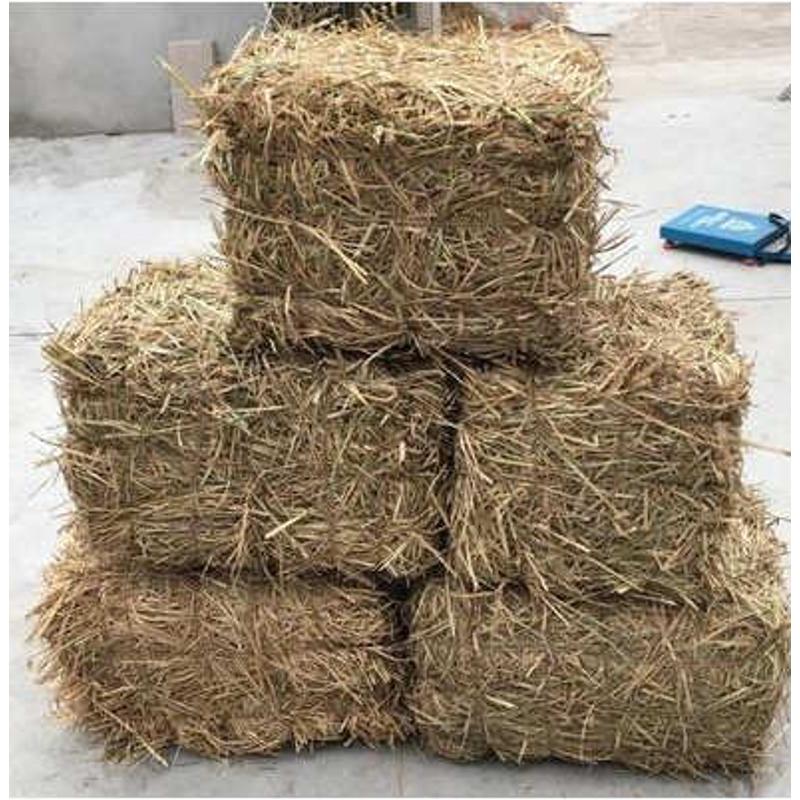 屋顶屋檐室内外稻草装饰干新稻草帘子草垛凳子麦草牛草喂羊草包邮