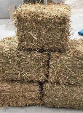 屋顶屋檐室内外稻草装饰干新稻草帘子草垛凳子麦草牛草喂羊草包邮