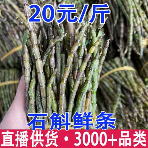 铁皮石斛鲜条 石斛鲜条 霍山石斛鲜条 云南石斛鲜条产地货源