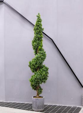 仿真植物装饰大绿植米仔兰客厅室内北欧落地家居摆件假树球型盆栽