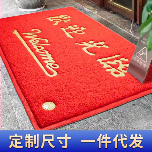 进门pvc塑料入户门欢迎光临地垫 丝圈防滑门口电梯地毯脚垫