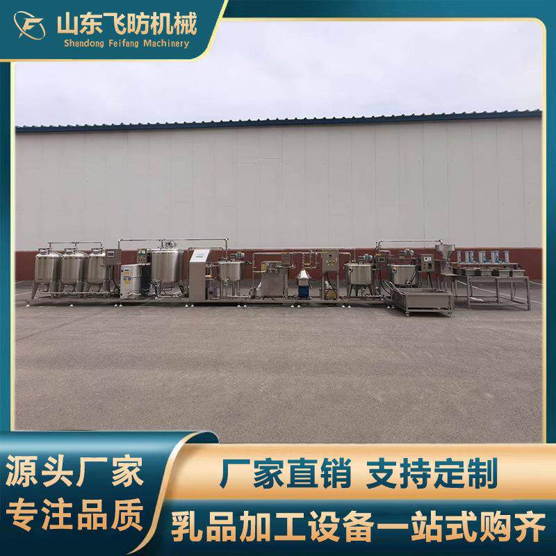 全自动酸奶奶酪块加工设备乳酪奶豆腐生产线小型奶酪发酵成型设备