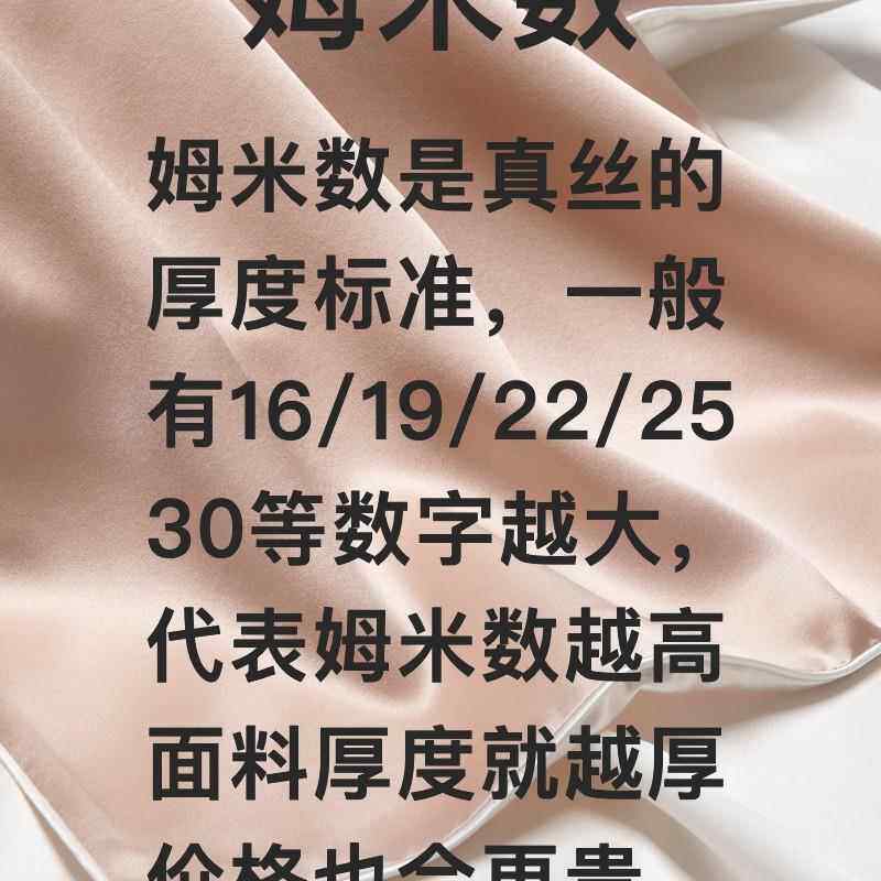 30B姆真丝枕套桑蚕丝AL100M29丝绸夏季头套信封式枕枕巾乳胶枕套A