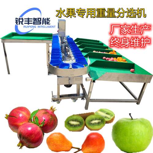 水果猕猴桃高精度重量分选机全自动分选设备蜜桃橘子自动分选设备