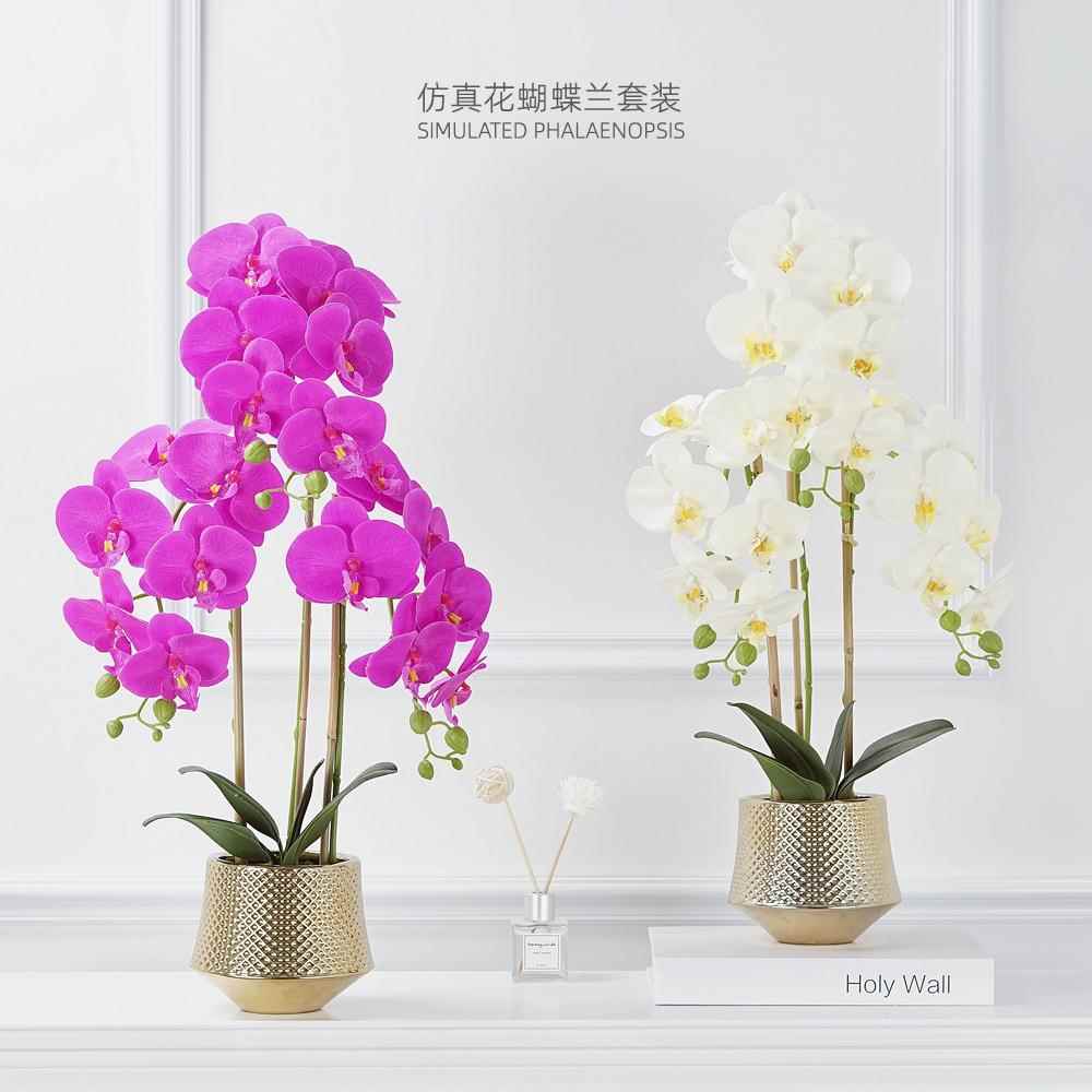 仿真花蝴蝶兰盆景套装 假花摆放盆栽 绢布花过胶手感客厅装饰摆件