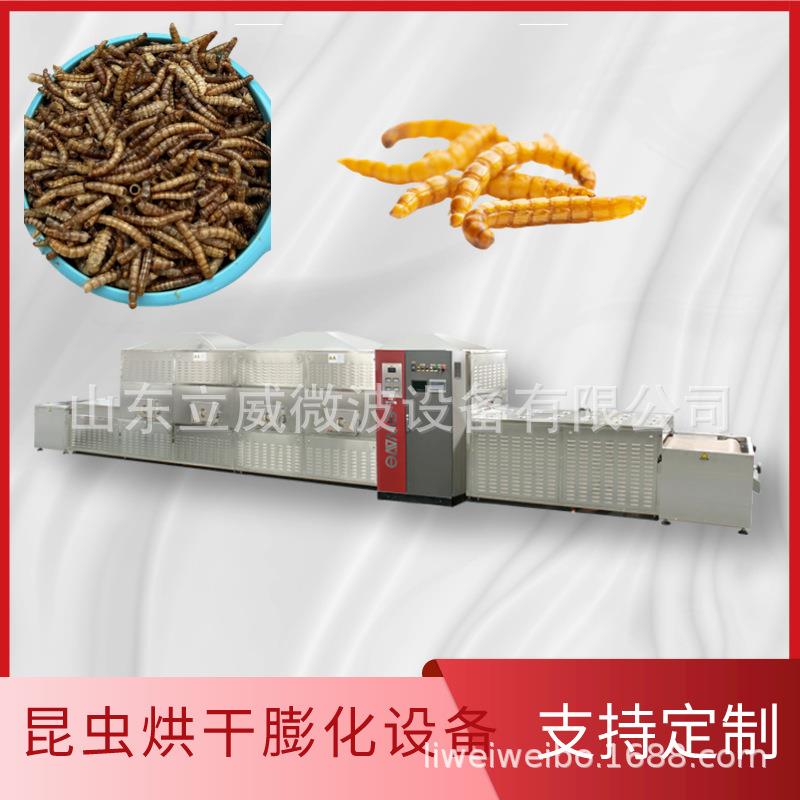 黄粉虫干燥设备自动化黄粉虫微波干燥机隧道式昆虫杀菌设备