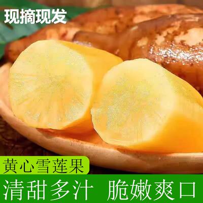 云南特产天山雪莲果红心超甜新鲜10斤一整箱包邮现挖脆甜当季水果