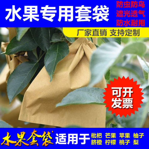 桃子水果水果纸袋果树柑橘果袋