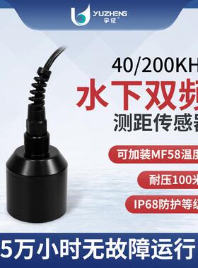 杭州厂家直销DYW-40/200-NA超声波探头超声波淤泥界面仪换能器