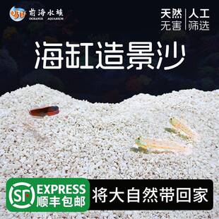 海缸底砂珊瑚沙鱼缸造景沙海沙专用菲律宾沙天然沙子海砂前海水族