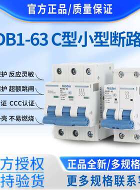 Nader上海良信空气开关NDB1-63系列断路器2P C型 32