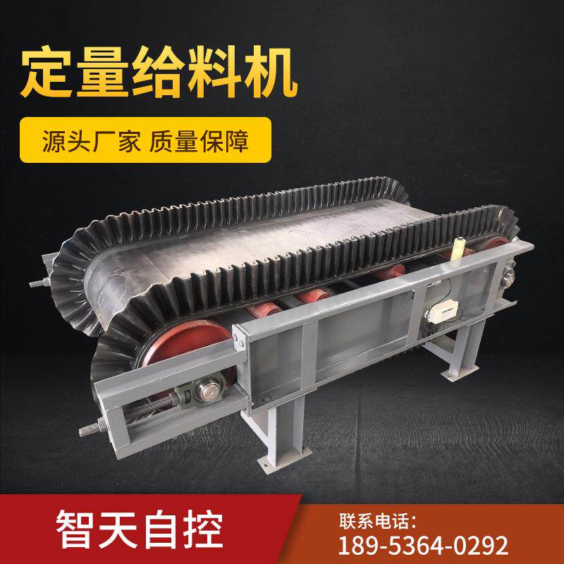 厂家供应DEL0820定量给料机调速电子皮带秤防爆电子皮带秤