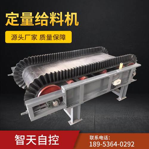 厂家供应 DEL0820定量给料机 调速电子皮带秤 防爆电子皮带秤