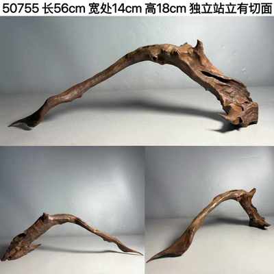 木缸50枝大型造景鱼缸树桩天然-飘龙虎柚木紫拱桥沉80cm精品南美