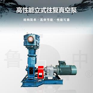 WLW-100系列立式往复式真空泵占地面积小使用方便淄博泵业