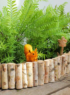 白桦木小栅栏篱笆摆件幼儿园森系植物角户外装饰园区别墅庭院花园