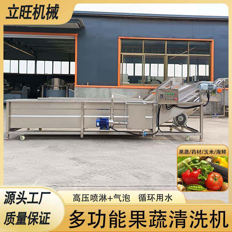 多功能喷淋气泡式清洗机中草药翻转冲浪清洗设备西蓝花生菜洗菜机