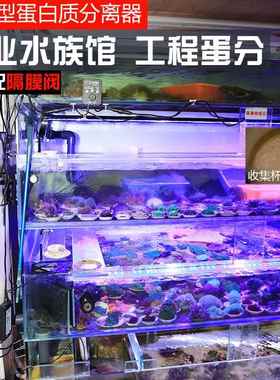 AE大型蛋白质分离器AE-1408AE-1408DAE-1408DTSK蛋分化氮器