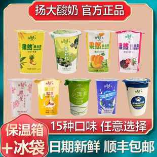 扬大酸奶扬州特产网红茉莉花樱花小苹 果草莓凤梨扬州大学休闲 饮