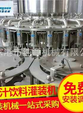 厂家供应RXGF功能饮料果汁饮料灌装机械全自动饮料灌装机械