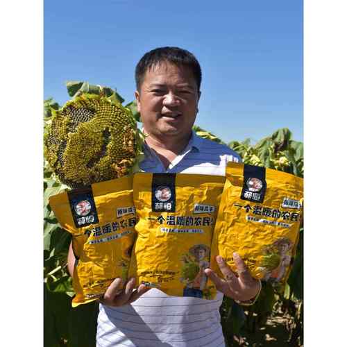 手工现炒熟瓜子原味363大颗粒薄皮精品新葵花籽婚庆袋装零食 3斤