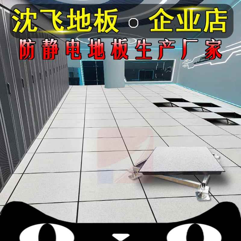 沈飞全钢陶瓷防静电地板600 600学校机房全钢防静电地板厂家直销