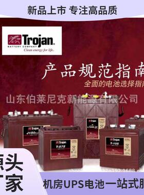Trojan/邱健蓄电池L16G-AC6V390AH升降机船舶洗地机6V加液电池