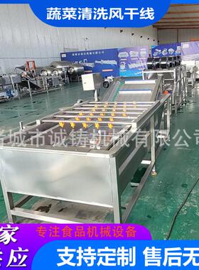 商用果蔬气泡清洗机油麦菜去杂清洗风干设备小白菜鼓泡翻浪清洗机