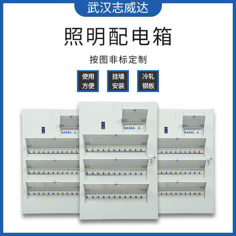 志威达厂家直供 照明配电箱 挂墙安装 双层门适用于餐饮酒店厨房