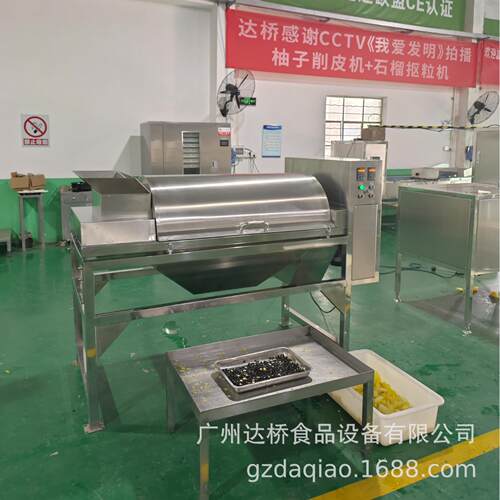 DQ达桥工业型打瓜籽无损分离机商用籽用西瓜籽肉分离机西瓜籽果汁