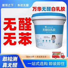 白胶/白乳胶