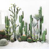 大型仿MYG真人仙仙人柱量天绿尺掌假盆栽装 饰植物网红摆件落地植