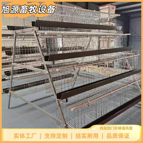 阶梯蛋鸡笼A型笼镀锌工艺养殖设备可零售