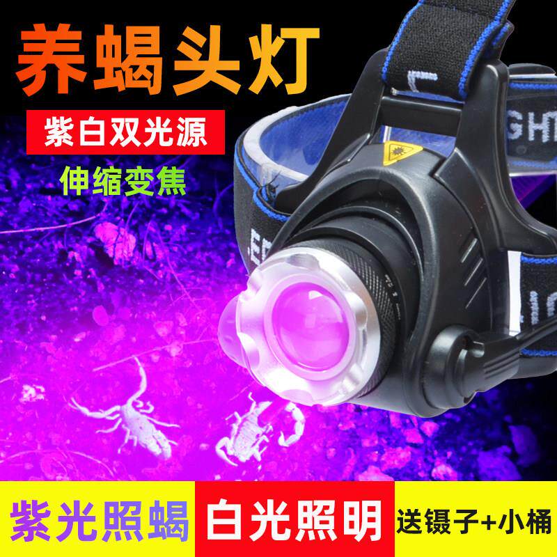 强光养蝎专用头灯照蝎子可充电头戴式超亮户外紫光灯照豆虫验钞x
