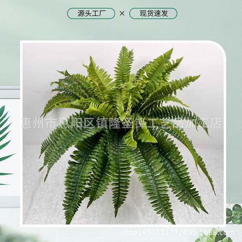 跨境仿真蕨类绿植人造波士顿蕨叶家居装饰仿真波斯草挂墙绿植摆件