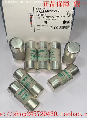 FR22AM69V40 FR22AM69V50 FR22AM69V63 FR22AM69V80 MERSEN熔断器