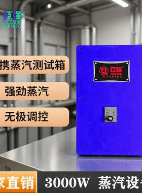蒸汽拖把蒸汽发生器空调清洗耐高温管道加热器热水蒸汽发热体
