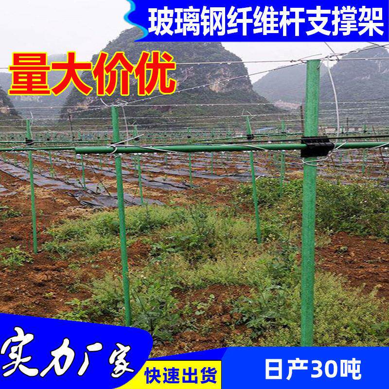 爬藤支架空心纤维杆百香果支架护树蔬菜玻纤管支柱植物园艺玻纤杆