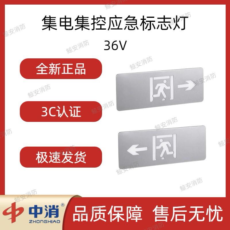 广东中消电子【36V】集电集控疏散指示灯具应急照明标志灯