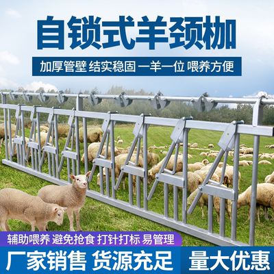 羊颈枷羊颈夹打针防疫授精养羊圈舍围栏固定自锁羊脖夹子羊场设备