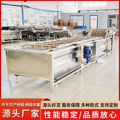 叶菜全套清洗线商用贡菜气泡清洗机全自动水果气浪式清洗机