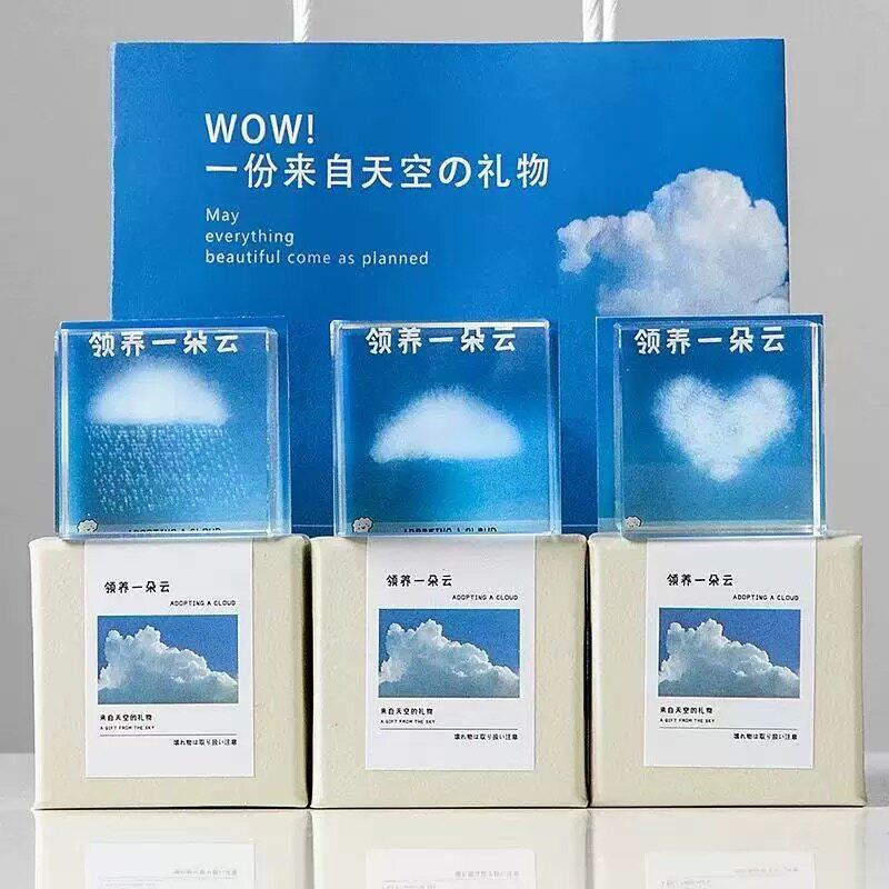 领养一朵云高级感云朵摆件奇妙云朵小众情人节生日礼物送男生女生