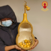 天然葫芦瓢家居客厅客厅办公室摆件半个葫芦家装 饰品乔迁新居礼品