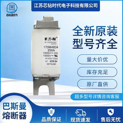 170M3990 170M3991巴斯曼BUSSMANN熔断器保险丝