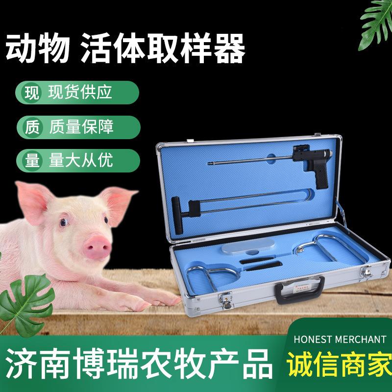动物活体取样器猪牛羊扁桃体采样器畜牧养殖器械