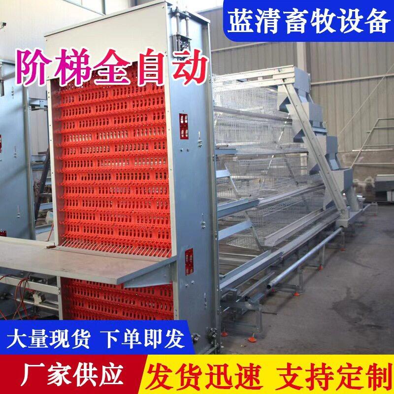 阶梯自动蛋鸡笼养殖场养殖笼具自动清粪背负式喂料机自动捡蛋机