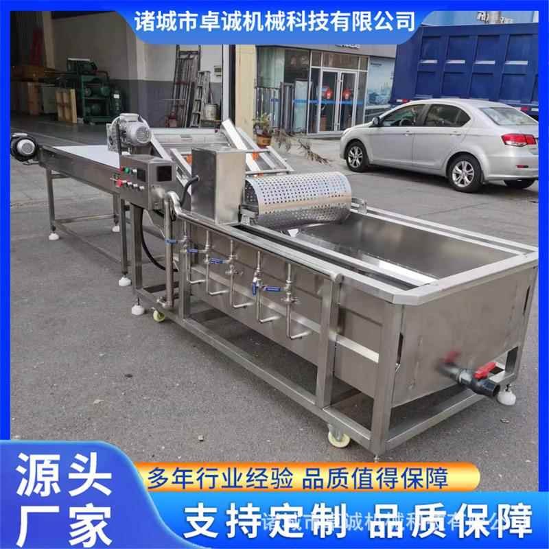 油菜浸泡清洗加工设备水果蔬菜自动化清洗线白菜气泡清洗机