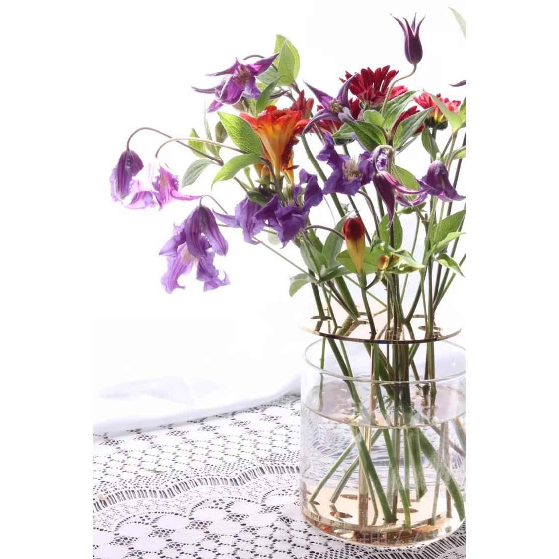 高档Edelweiss 欧网红 黄铜支架网玻花瓶 创意清新插璃北花摆格件